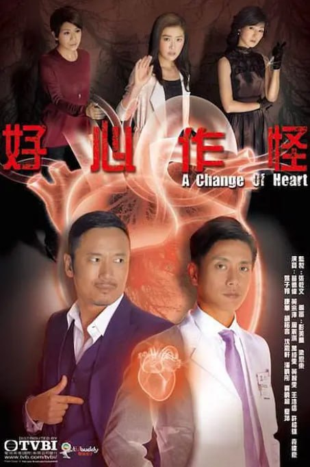 2013 好心作怪 苗侨伟/黄宗泽/万绮雯/全30集/简繁字幕/1080P/单集1.2G/37G